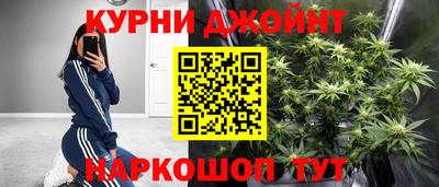 дмт Новозыбков