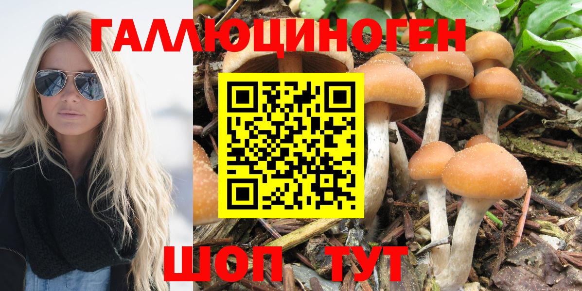 Галлюциногенные грибы ЛСД  Галлюциногенные грибы мицелий  Вход с VPN  Сосновоборск 